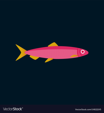 In flat style herring vector image In flat style herring vector image