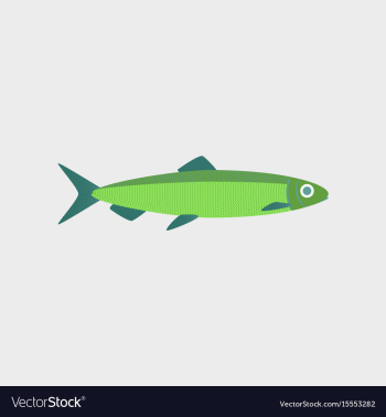 In flat style herring vector image In flat style herring vector image
