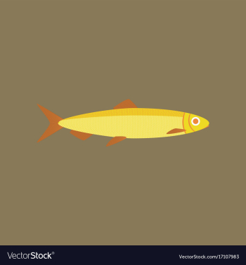 In flat style herring vector image In flat style herring vector image