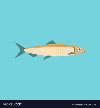 In flat style herring vector image In flat style herring vector image