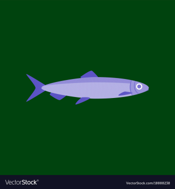 In flat style herring vector image In flat style herring vector image
