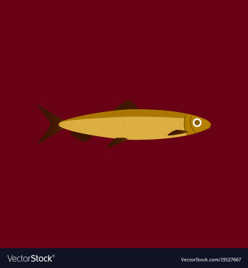 In flat style herring vector image In flat style herring vector image