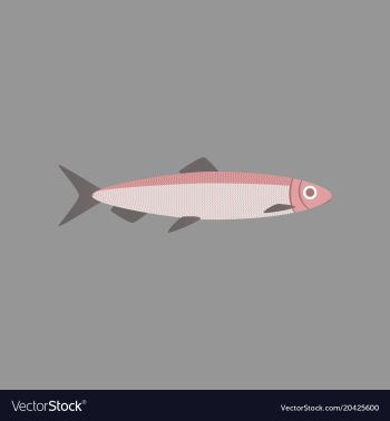 In flat style herring vector image In flat style herring vector image