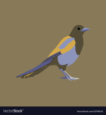 In flat style of magpie vector image