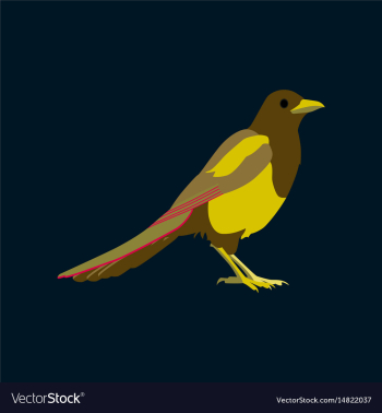 In flat style of magpie vector image