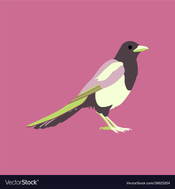 In flat style of magpie vector image