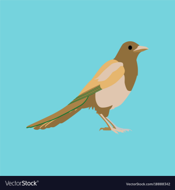 In flat style of magpie vector image
