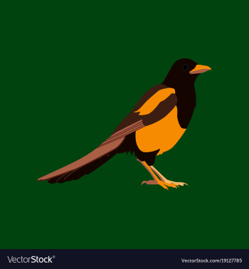 In flat style of magpie vector image