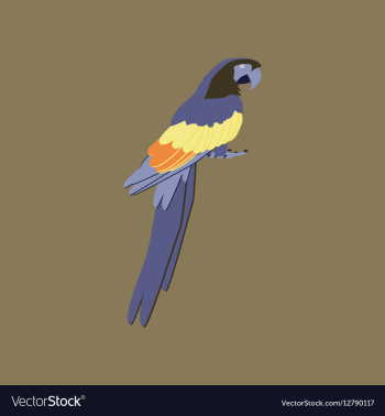 In flat style of parrot vector image In flat style of parrot vector image