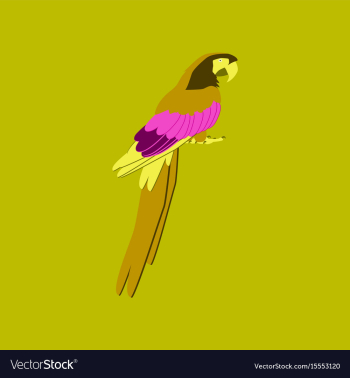 In flat style of parrot vector image In flat style of parrot vector image