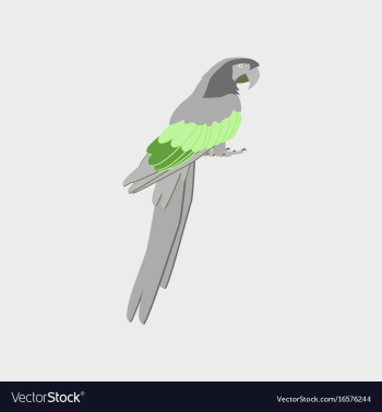 In flat style of parrot vector image In flat style of parrot vector image