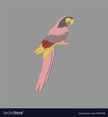 In flat style of parrot vector image In flat style of parrot vector image
