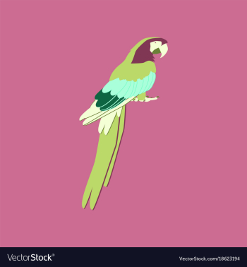 In flat style of parrot vector image In flat style of parrot vector image