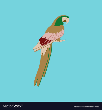 In flat style of parrot vector image In flat style of parrot vector image