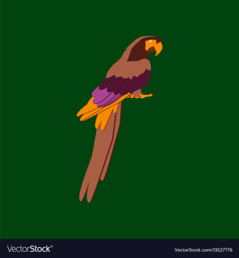 In flat style of parrot vector image In flat style of parrot vector image