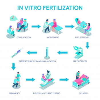 In vitro fertilization poster with consultation and monitoring symbols isometric Free Vector