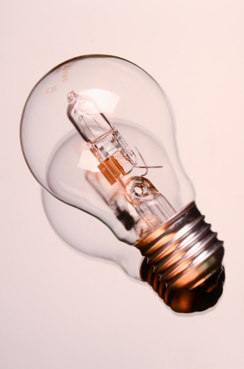 Incandescent Light Bulb Incandescent Light Bulb