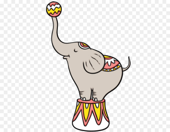 Indian elephant Indian elephant