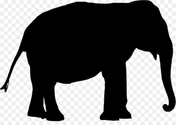 Indian elephant African elephant Cattle Mammal Clip art - Indian elephant African elephant Cattle Mammal Clip art -