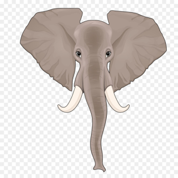 Indian elephant African elephant Nose - Vector long nose like 