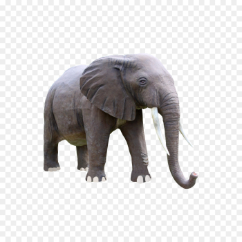 Indian Elephant, Elephant, African Bush Elephant, Elephants And Mammoths PNG
