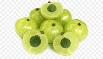 Indian gooseberry Clip art Stock photography Royalty-free - Indian gooseberry Clip art Stock photography Royalty-free -