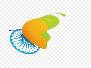 Indian Independence Day Republic Day Illustration - Vector butterfly India Independence Day 