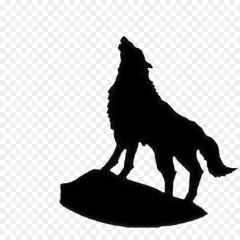 Indian wolf Samsung Galaxy S9 Screensaver Wallpaper - Fight like a wolf 