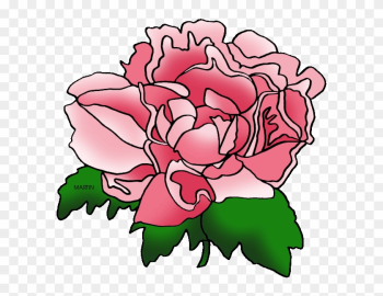 Indiana State Flower - Peonies Flower Clip Art Indiana State Flower - Peonies Flower Clip Art