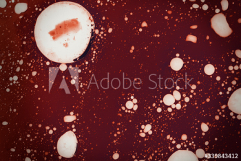 Infectious coronavirus blood splatter Infectious coronavirus blood splatter