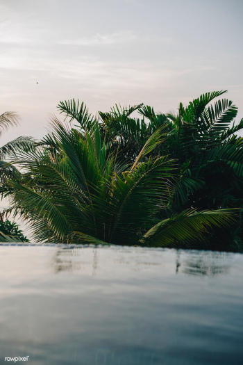 Infinity swimming pool at a resort | Free stock photo - 418321
