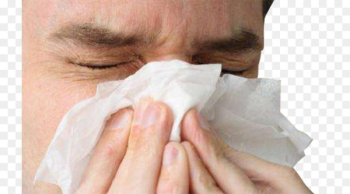 Influenza A virus subtype H1N1 2009 flu pandemic Influenza A virus subtype H3N2 Swine influenza - Cover your nose picture 