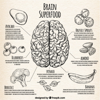 Infographic with the best food for the brain Infographic with the best food for the brain