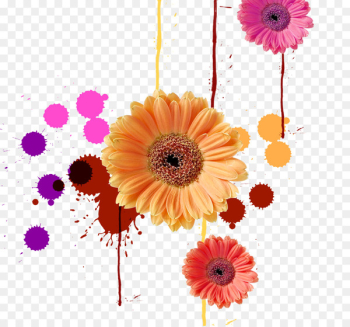 Ink Color Computer file - Colorful splash ink chrysanthemum 