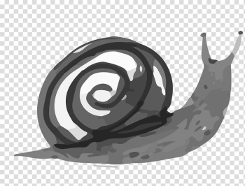 Ink wash painting Drawing Watercolor painting, Cartoon snail transparent background PNG clipart