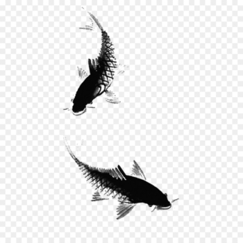 Ink wash painting Fish Ink brush - Ink fish,fish Ink wash painting Fish Ink brush - Ink fish,fish