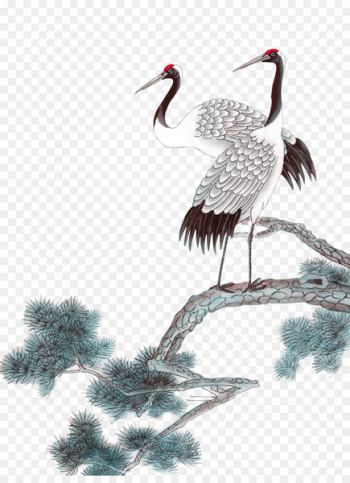 Ink wash painting Siberian crane - Crane Pictures Ink wash painting Siberian crane - Crane Pictures