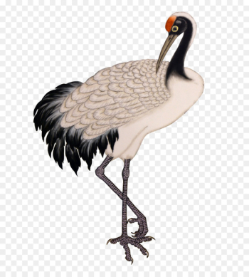 Ink wash painting - white crane,Crane Ink wash painting - white crane,Crane