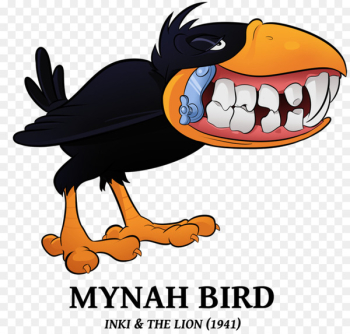 Inki Bird Common myna Beak - bird Inki Bird Common myna Beak - bird