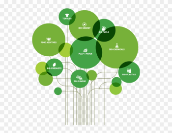 Innovation-tree - Innovation Tree Innovation-tree - Innovation Tree