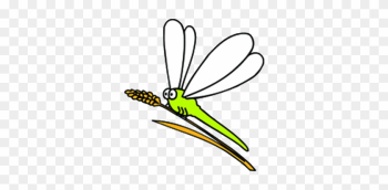 Insect Dragonfly Illustration - Insect Dragonfly Illustration Insect Dragonfly Illustration - Insect Dragonfly Illustration