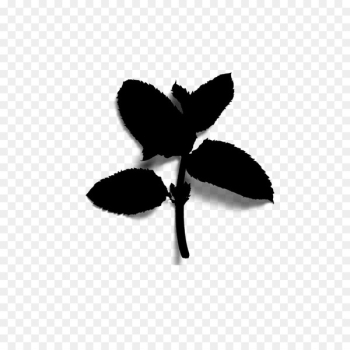 Insect Font Line Silhouette Leaf - Insect Font Line Silhouette Leaf -