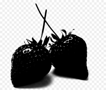 Insect Product design Fruit - Insect Product design Fruit -