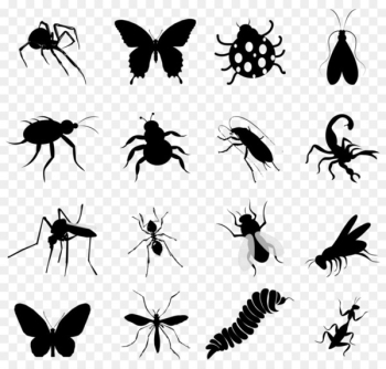 Insect Silhouette Butterfly Clip art - Insect Silhouettes Insect Silhouette Butterfly Clip art - Insect Silhouettes