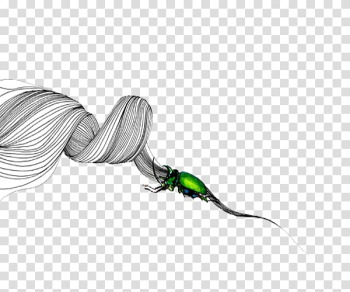 Insect White, Simple white lines of insects transparent background PNG clipart