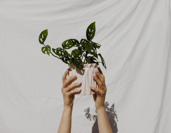 INSTA:@copper.spoon                                                           WEBSITE: https://www.copperspooncreative.com/