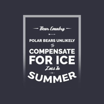 Instagram banner ads 42 Instagram banner ads 42