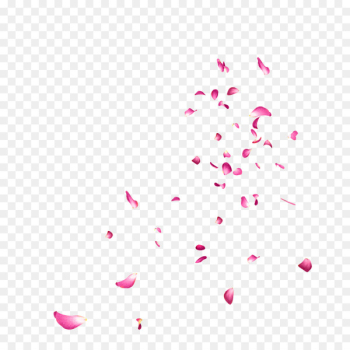 Instagram Photography Image editing PicsArt Photo Studio - floating 