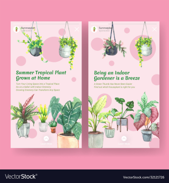 instagram template design with summer plant