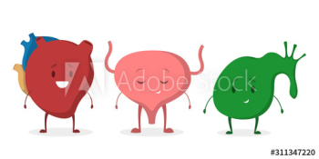 Internal human organ with funny faces set